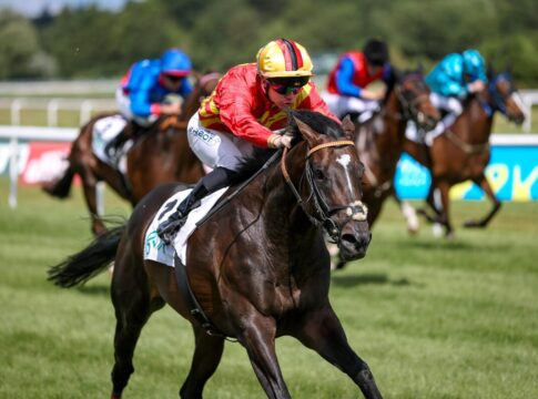 Seguro siegt unter Benjamin Marie im Japan Racing Association Derby-Trial