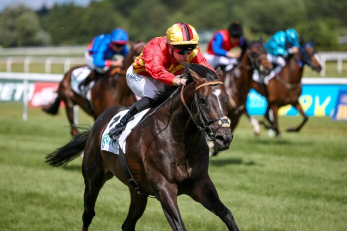 Seguro siegt unter Benjamin Marie im Japan Racing Association Derby-Trial
