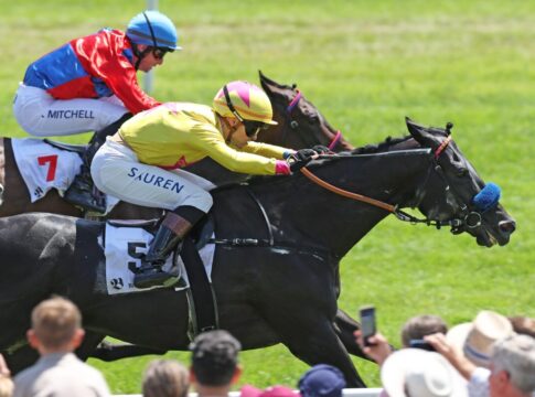 Erster Black Type-Sieg - Wikinger gewinnt Silberne Peitsche Wikinger siegt unter Thore Hammer-Hansen im Casino Baden-Baden Silberne Peitsche L.