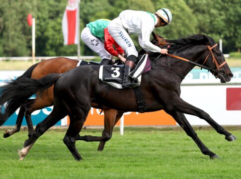 Wildpfad siegt unter Thore Hammer-Hansen