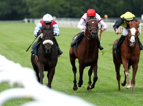 Wintertraum steht die Distanz und gewinnt das Freitags-Highlight Wintertraum (li.) gewinnt gegen Waldadler (re.) und Narrativo