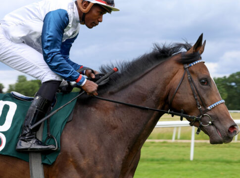 Westminster Rocket mit Eduardo Pedroza beim Aufgalopp