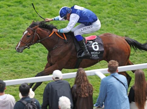 Ally McMagic siegt unter Alexander Pietsch