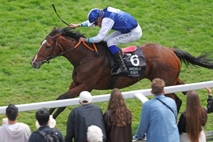 Ally McMagic siegt unter Alexander Pietsch