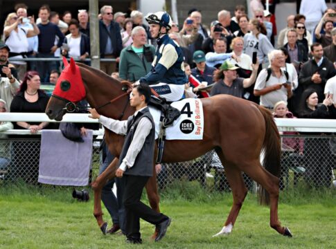 Bay Of Brilliance bei der Parade vor dem Deutschen Derby