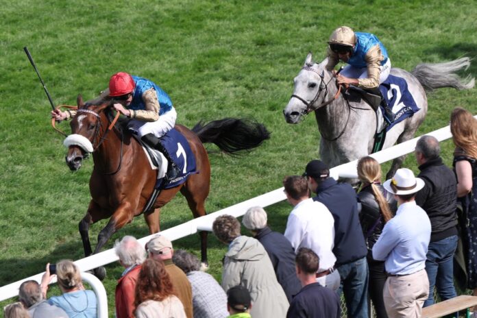 Chidia siegt unter James Doyle in The President of the United Arab Emirates Cup, Gr.2