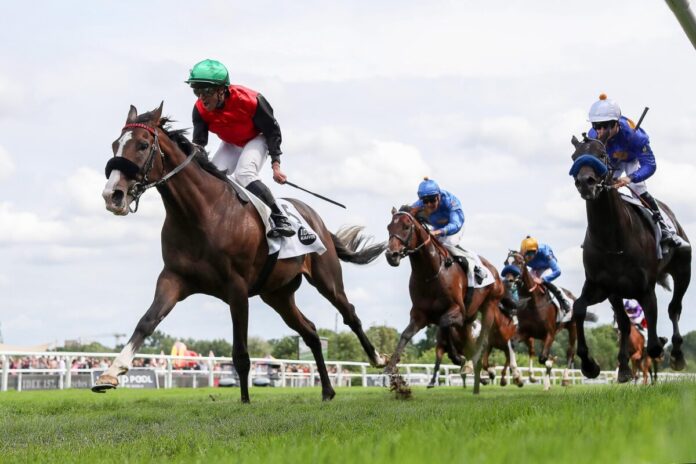 Dardanos siegt unter Wladimir Panov im IDEE 157. Deutsches Derby