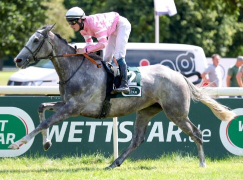 Fairy Grey gewinnt - Johnson bleibt auf Championatskurs Fairy Grey siegt unter Matthew S. Johnson