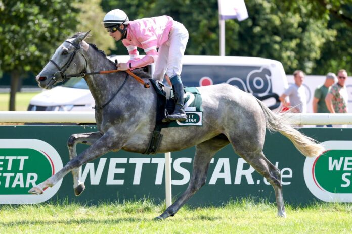 Fairy Grey siegt unter Matthew S. Johnson