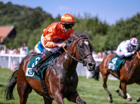 Go Girl Go siegt unter Thore Hammer-Hansen