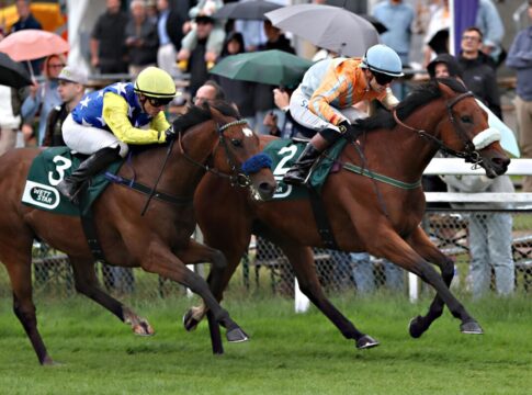Nation of Stars siegt unter Thore Hammer-Hansen