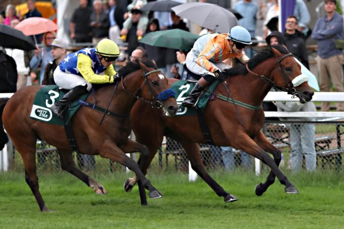 Nation of Stars siegt unter Thore Hammer-Hansen