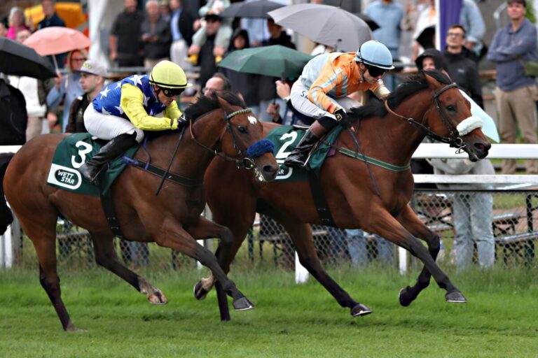 Nation of Stars siegt unter Thore Hammer-Hansen