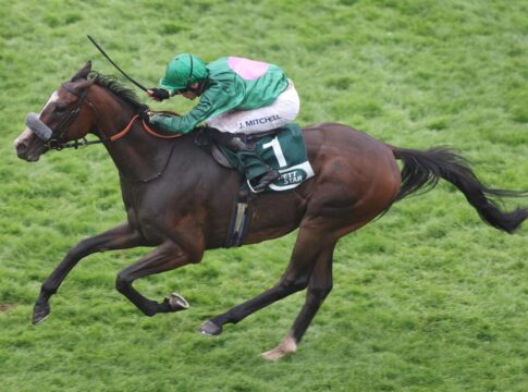Montanus siegt unter Jack Mitchell