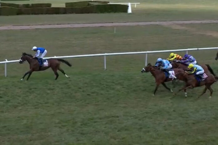 Hansottogruber gewinnt in Vittel Foto: Screenshot