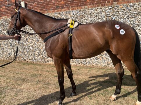 Lot 530