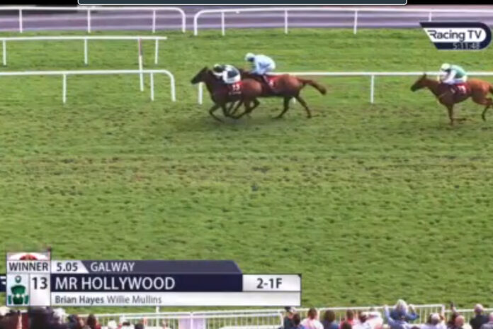 Mr Hollywood siegt in Galway Foto: Screenshot