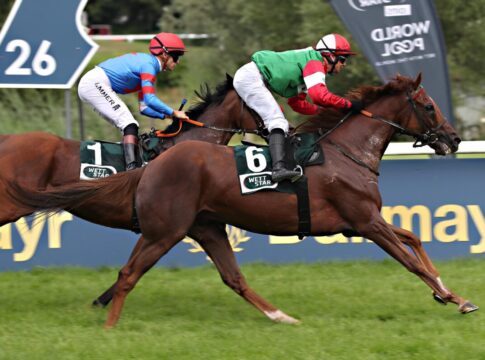 Längster Außenseiter New Diamond gewinnt den Ausgleich II New Diamond siegt unter Miguel Lopez