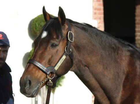 Epsom Derbysieger Motivator abgetreten Motivator