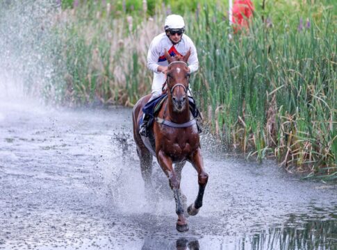 Spectacular Style siegt unter Hakim Tabet im Seejagdrennen