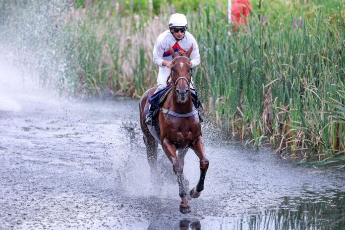 Spectacular Style siegt unter Hakim Tabet im Seejagdrennen