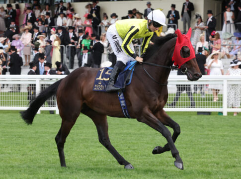Nachnennung, zehn Starter und Topjockeys im Großen Dallmayr-Preis Royal Ascot, Wimbledon Hawkeye with Cieren Fallon