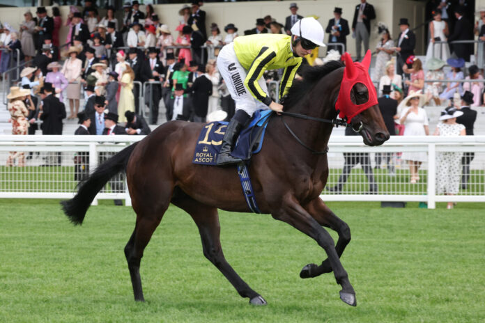 Royal Ascot, Wimbledon Hawkeye with Cieren Fallon