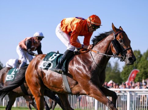 Zaroon schafft das Doppel - Zweiter Sieg im Premiumhandicap Zaroon siegt unter Bauyrzhan Murzabayev