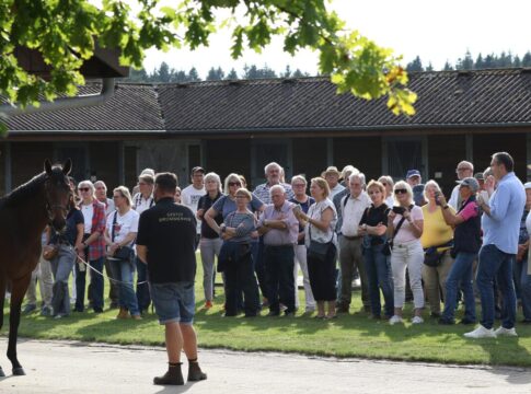 Auch das Gestüt Brümmerhof öffnet wieder seine Tore