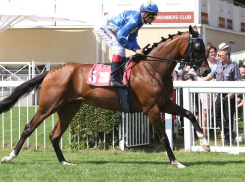 Hengst aus Capricorn-Zucht gewinnt hochdotiertes Maidenrennen in York Greta