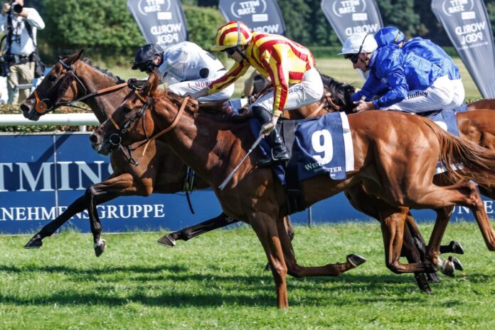 Bright Light wird Zweiter hinter Tiffany