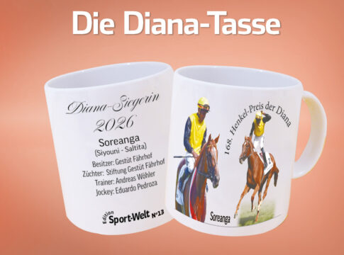 Diana Tasse_presenter3