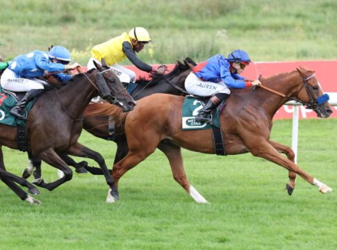 Sieg im Steher Cup - Flatten the Curve meldet sich bärenstark zurück Flatten the Curve siegt unter Thore Hammer-Hansen im Stall Siepenblick 2.8 - Steher Cup