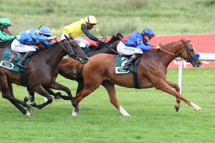 Flatten the Curve siegt unter Thore Hammer-Hansen im Stall Siepenblick 2.8 - Steher Cup