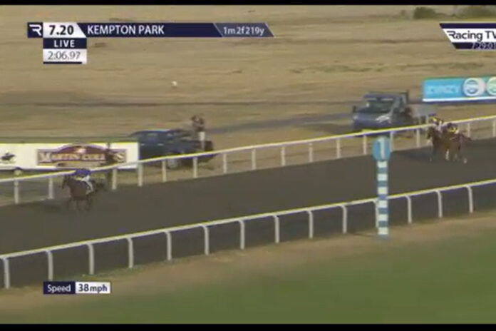 Fortitudine verliert in Kempton die Gegner Foto: Screenshot