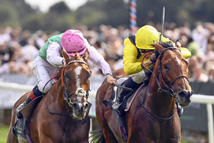 Item (li.) gewinnt die Juddmonte International Stakes Foto: Sorge