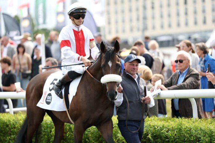 Loucas vor dem Deutschen Derby im Hamburger Führring Loucas vor dem Deutschen Derby im Hamburger Führring