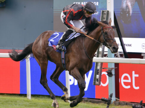 Stauffenberg-Pinhook Maltese Cross gewinnt die Great Voltigeur Maltese Cross gewinnt die Great Voltigeur Stakes Foto: Sorge