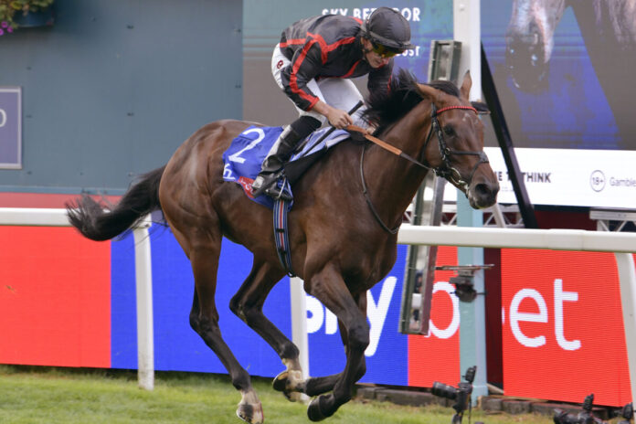 Maltese Cross gewinnt die Great Voltigeur Stakes Foto: Sorge