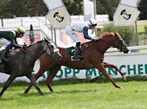 Mister Phoenix siegt unter David Liska