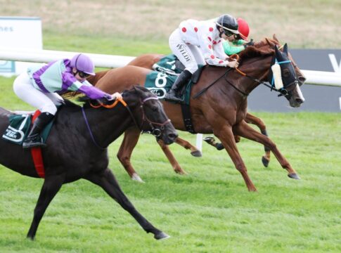 Quijana Starlet siegt unter Victoria C. Wilde