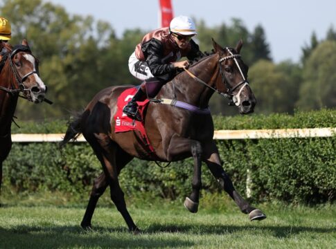 Showstorm siegt, aber der Champion hat mehr Arbeit als erwartet Showstorm siegt unter Thore Hammer-Hansen