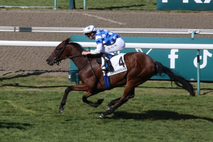 Anno Solero bei seinem fünften Platz in Deauville