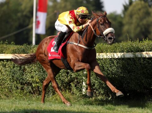 Tia Sophia siegt unter Kevin Braye