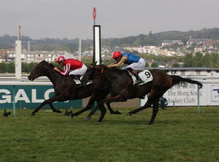 Wimbledon Hawkeye unter Christophe Soumillon vor Map Of Stars Foto: Hemke