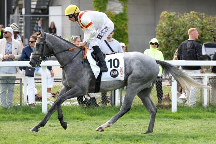 Yacomo Yacomo vor dem Derbystart