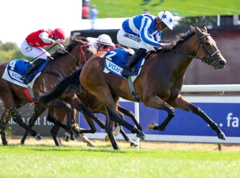 Zabeel Dream siegt unter Eduardo Pedroza