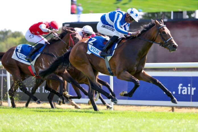 Zabeel Dream siegt unter Eduardo Pedroza