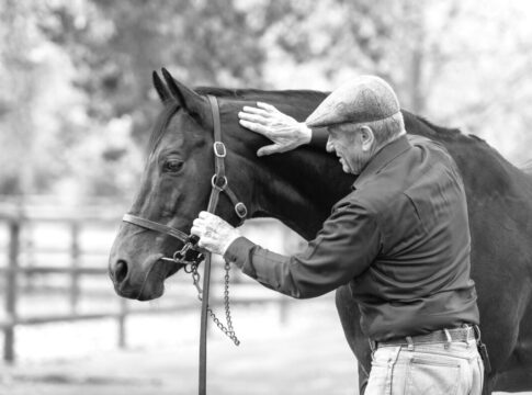 Monty Roberts mit Silvano