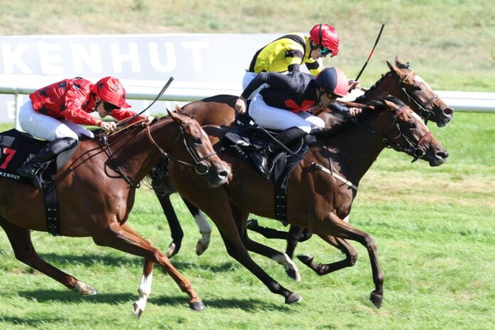 Anatara siegt unter Rene Piechulek im Wackenhut Fillies Cup